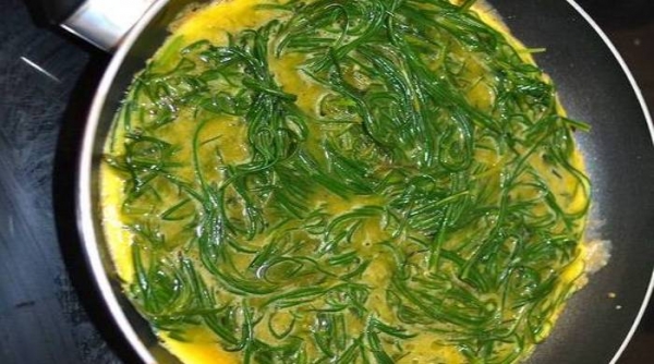 Омлет на сковороде с сыром — 5 рецептов с овощами
Омлет на сковороде с сыром — 5 рецептов с овощами