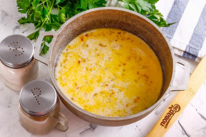 Грузинский суп с мацони