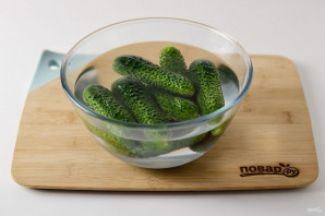 Соление огурцов Соление огурцов