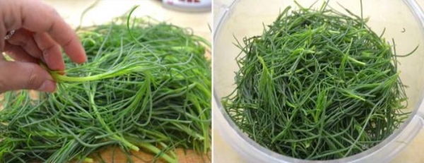 Омлет на сковороде с сыром — 5 рецептов с овощами
Омлет на сковороде с сыром — 5 рецептов с овощами