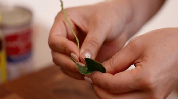 
Том Ям &mdash; простой рецепт в домашних условиях с креветками	