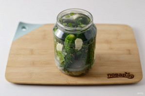 Соление огурцов Соление огурцов