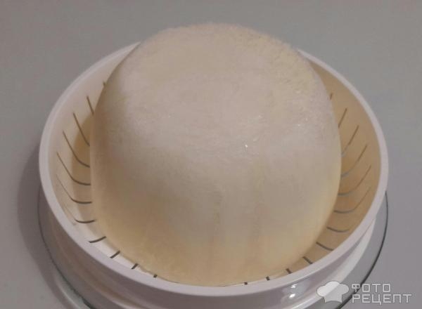 Рецепт: Торт "Кошечка" на день рождения девочке - Бисквитный торт "Кошечка" с масляным кремом и черешней. И кексы "Кошачьи лапки".