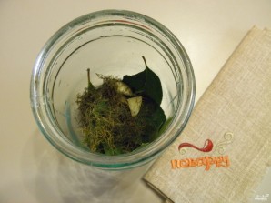 Закатка томатов на зиму Закатка томатов на зиму