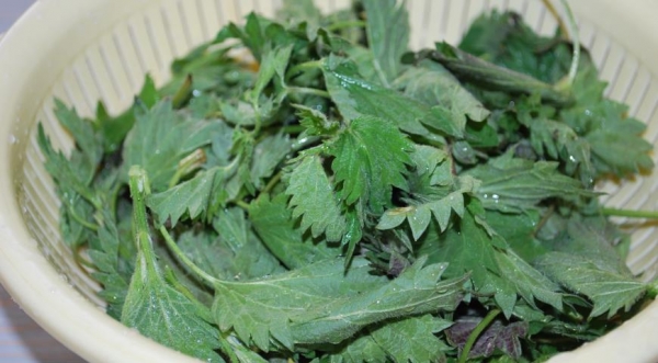 Суп-пюре с крапивой, пошаговый рецепт с фото