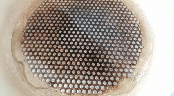 Баранина с грибами и шафрановым соусом, пошаговый рецепт с фото