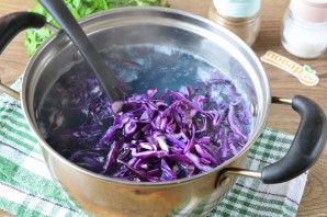 Борщ из красной капусты Борщ из красной капусты