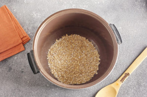 Овсяная каша с тыквой в мультиварке Овсяная каша с тыквой в мультиварке