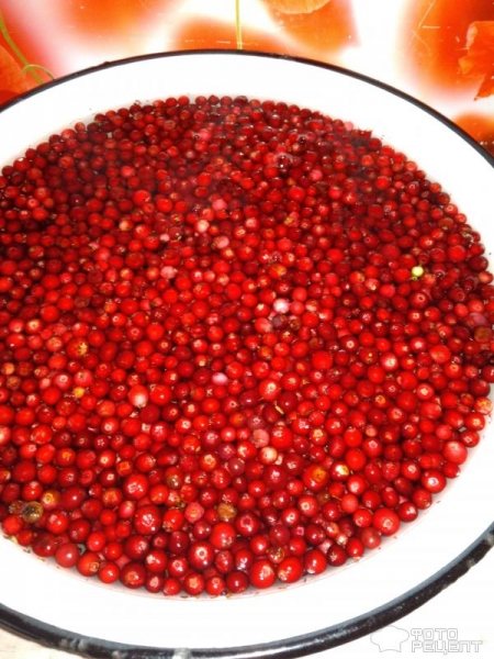 Рецепт: Брусника, протертая с сахаром - Свежая брусника без варки на зиму