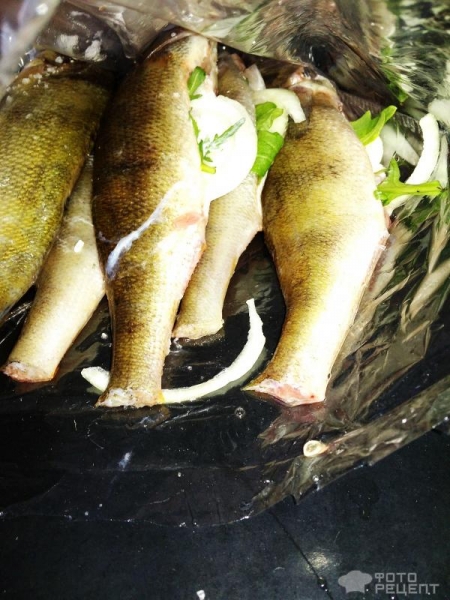 Рецепт: Окунь речной запеченый - "Ленивый" окунь с рукколой и луком, запеченный в пакете