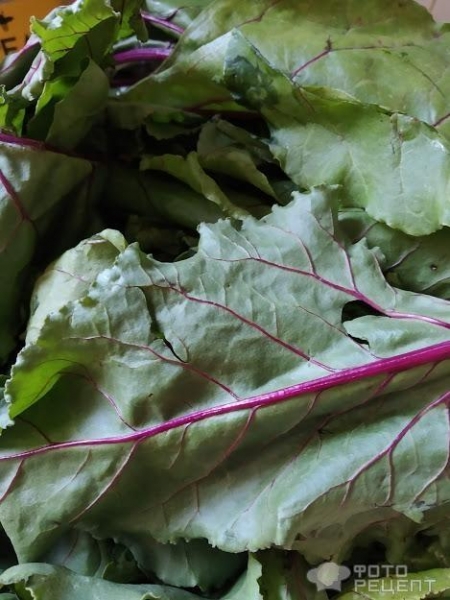 Рецепт: Вареные листья свеклы - с лимоном и оливковым маслом Рецепт: Вареные листья свеклы - с лимоном и оливковым маслом