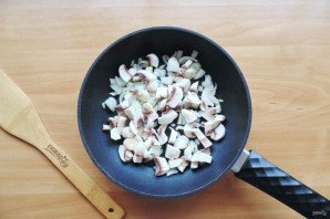 Котопита Котопита