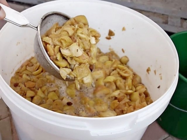 
Вино из яблок в домашних условиях своими руками &mdash; простой рецепт приготовления	