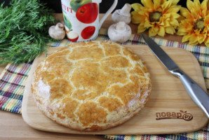 Котопита Котопита