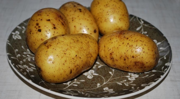 Окрошка на квасе и сметане, пошаговый рецепт с фото