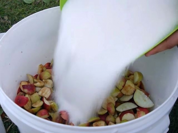 
Вино из яблок в домашних условиях своими руками &mdash; простой рецепт приготовления	