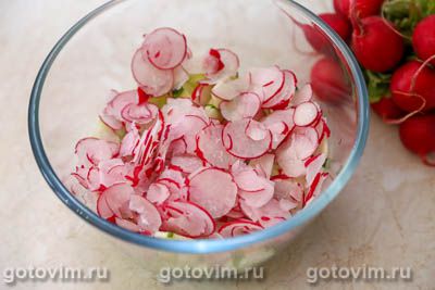 Салат из редиски с огурцом, яйцом и плавленым сырком