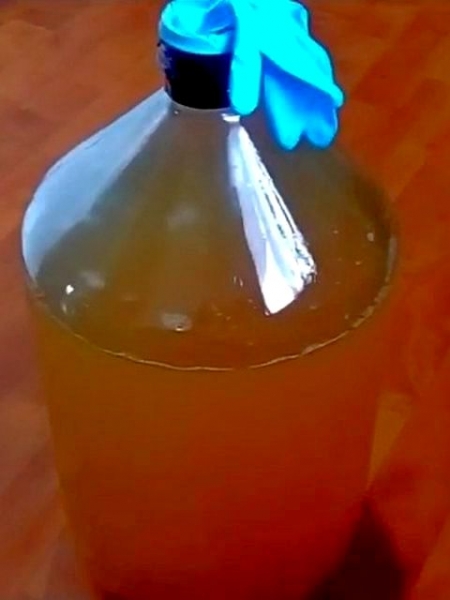 
Вино из яблок в домашних условиях своими руками &mdash; простой рецепт приготовления	