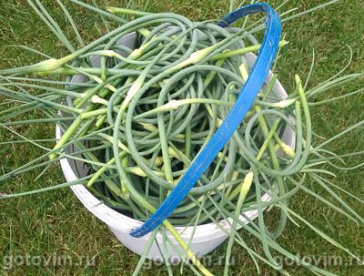 Жареные чесночные стрелки