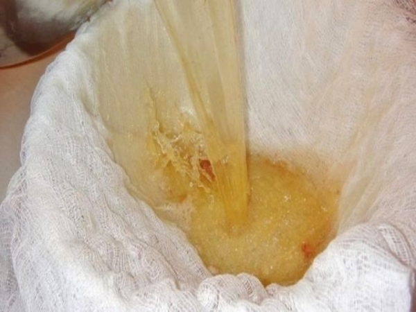 
Вино из яблок в домашних условиях своими руками &mdash; простой рецепт приготовления	