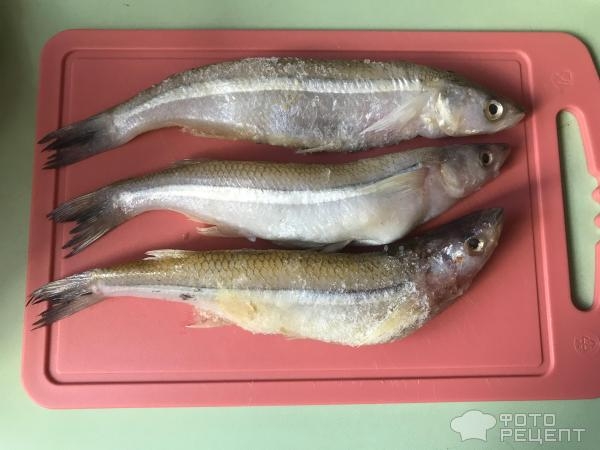 Рецепт: Корюшка, жаренная в муке - Просто и быстро! Рецепт: Корюшка, жаренная в муке - Просто и быстро!