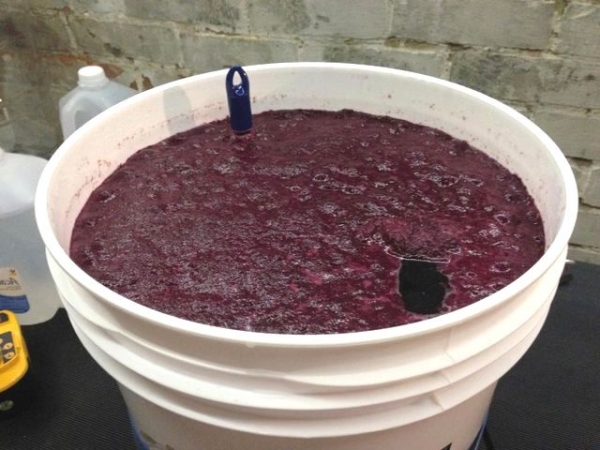 
Вино из винограда своими руками &mdash; рецепт приготовления в домашних условиях	