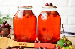 Компот из алычи на зиму