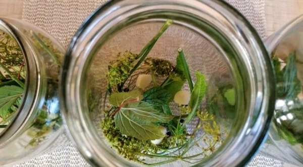 Огурчики по-болгарски, пошаговый рецепт с фото