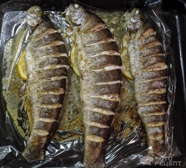 Рецепт: Форель, запеченная в духовке - со сливочным маслом и пряностями