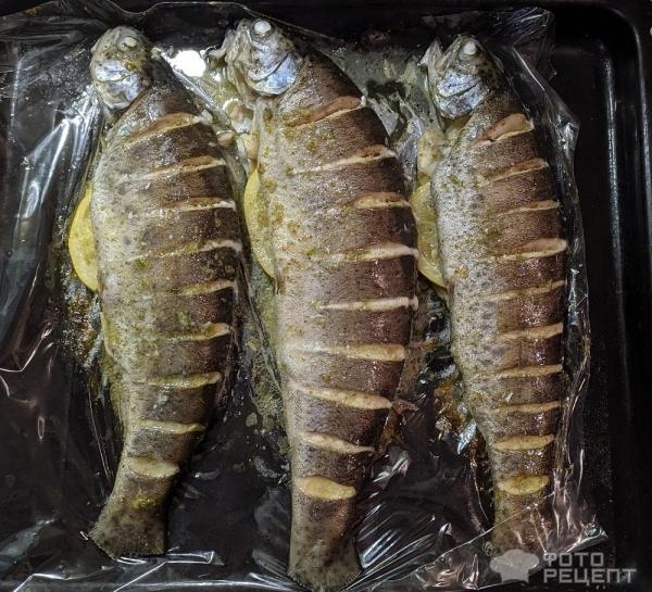 Рецепт: Форель, запеченная в духовке - со сливочным маслом и пряностями