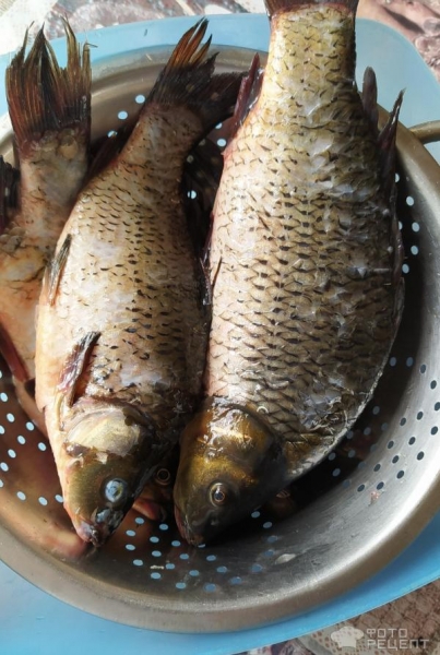 Рецепт: Карп запеченный - в духовке со сметаной и луком.