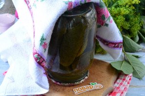 Маринованные огурцы "Детские" Маринованные огурцы "Детские"