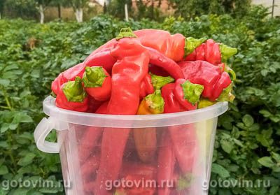 Закуска из острого перца к мясу