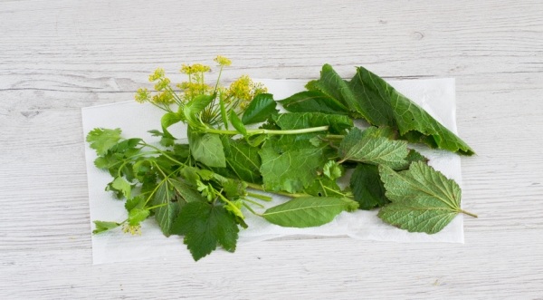 Соленые помидоры на зиму, пошаговый рецепт с фото