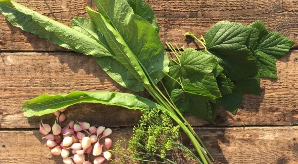 Солёные огурцы, пошаговый рецепт с фото Солёные огурцы, пошаговый рецепт с фото