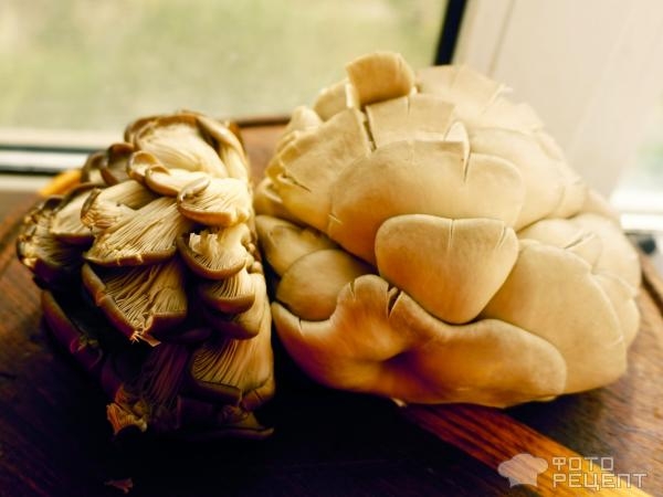 Рецепт: Корзиночки из куриного "теста" - с грибной начинкой Рецепт: Корзиночки из куриного "теста" - с грибной начинкой