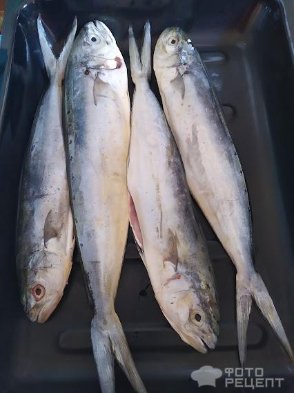 Рецепт: Рыба Охотник с помидорами - в дкховке