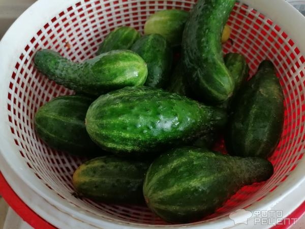 Рецепт: Салат из огурцов на зиму - как найденный, вкусно и просто Рецепт: Салат из огурцов на зиму - как найденный, вкусно и просто