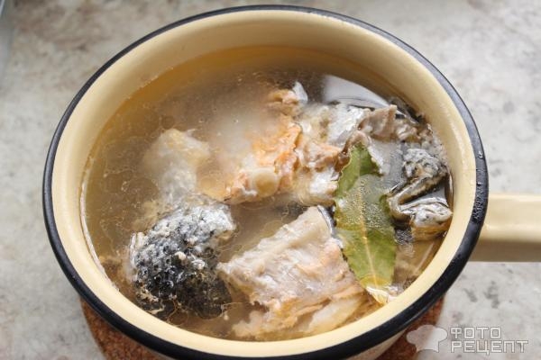 Рецепт: Уха из лососевых - с листами нори Рецепт: Уха из лососевых - с листами нори