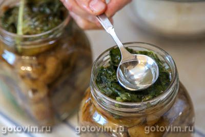 Соленые польские грибы в банке Соленые польские грибы в банке