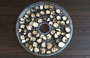 Сушка баклажанов в электросушилке Сушка баклажанов в электросушилке