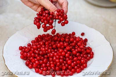 Соус из калины Соус из калины