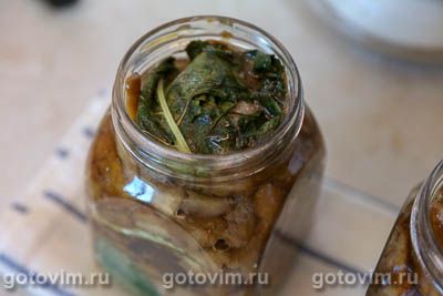 Соленые польские грибы в банке Соленые польские грибы в банке