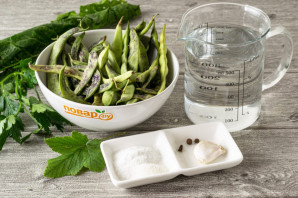 Малосольная стручковая фасоль Малосольная стручковая фасоль