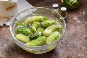 Малосольные огурцы с кинзой и чесноком