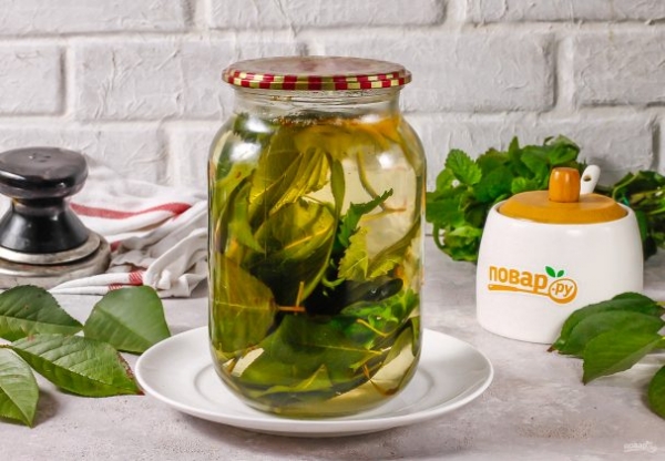 Компот из листьев вишни на зиму Компот из листьев вишни на зиму