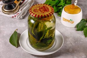 Компот из листьев вишни на зиму Компот из листьев вишни на зиму