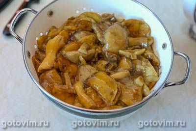 Соленые польские грибы в банке Соленые польские грибы в банке