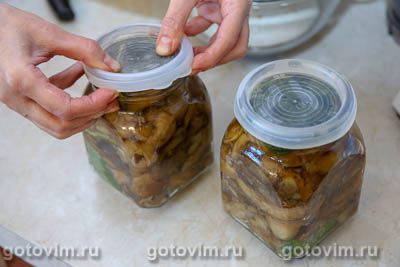 Соленые польские грибы в банке Соленые польские грибы в банке
