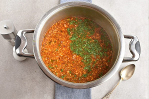 Харчо из говядины с ткемали Харчо из говядины с ткемали